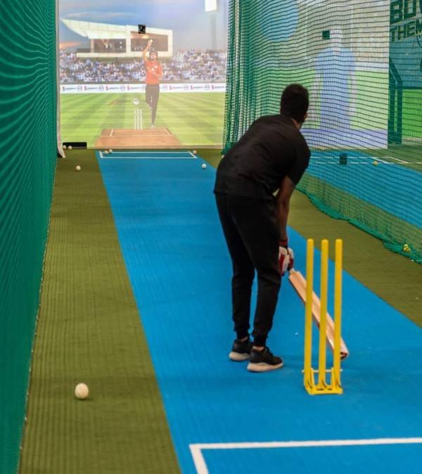 Cricket Simulator